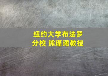 纽约大学布法罗分校 熊瑾珺教授